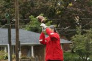 OTFL Gallery Image